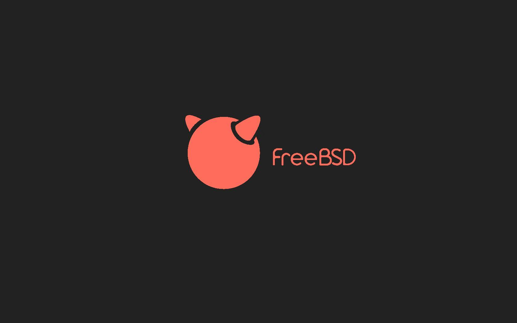 This tutorials covers how to install FreeBSD on a remote server, manually, and covers different types of setup including ZFS, UFS, encrypted swap or data partition