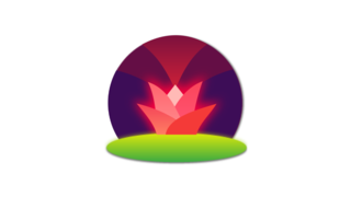 DoH on macOS with dnscrypt-proxy