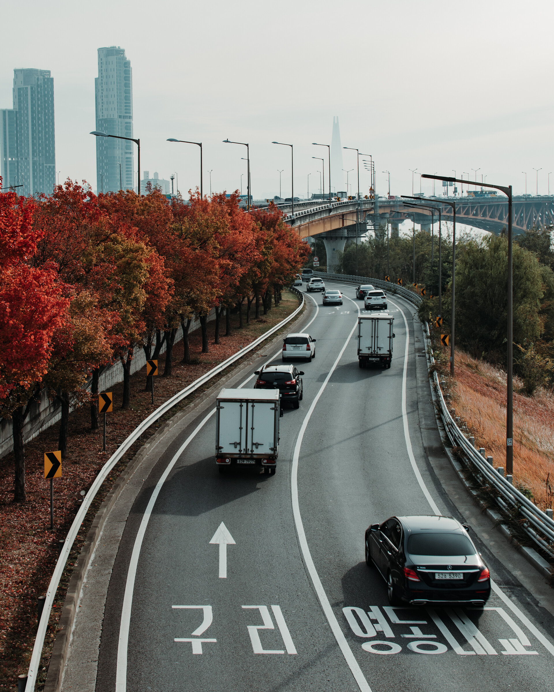 A bridge over the road near the Seoul Forest