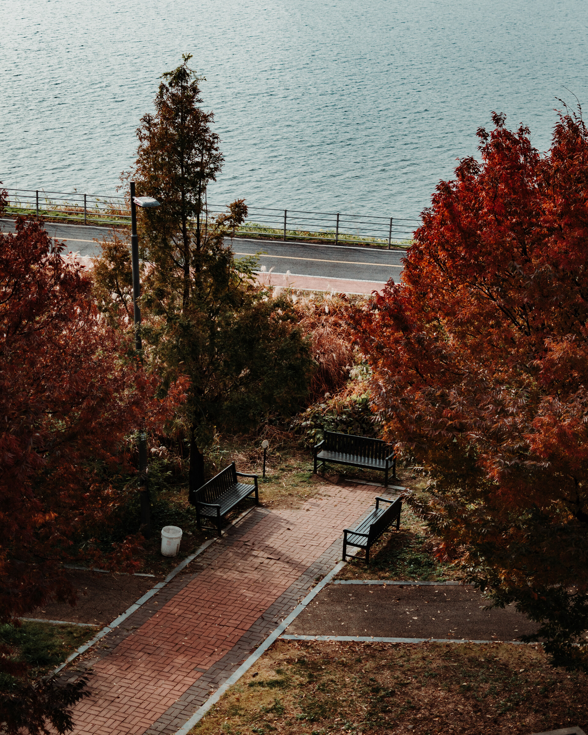 Coming from the Seoul Forest to the Han River