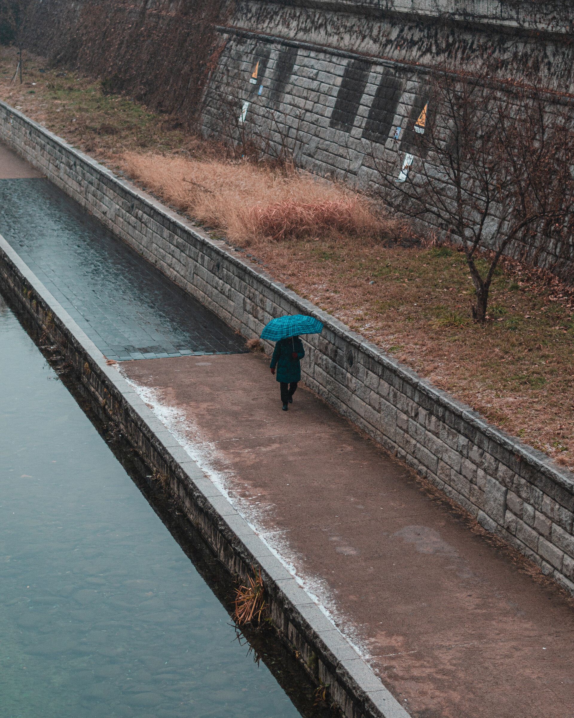 The day of the first snow at the Cheonggyecheon stream