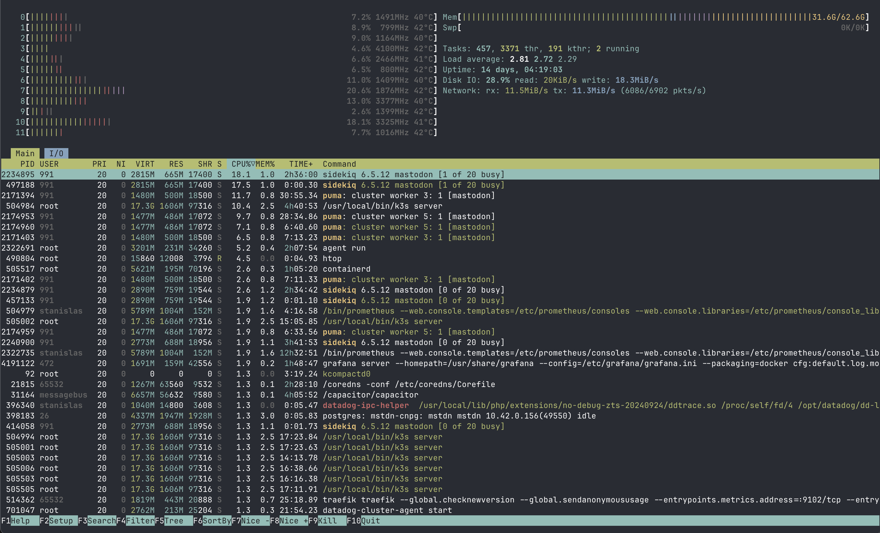 htop RAM usage root server