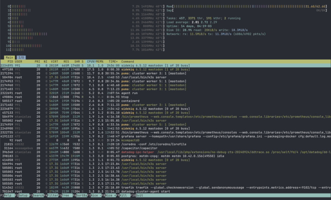htop RAM usage root server