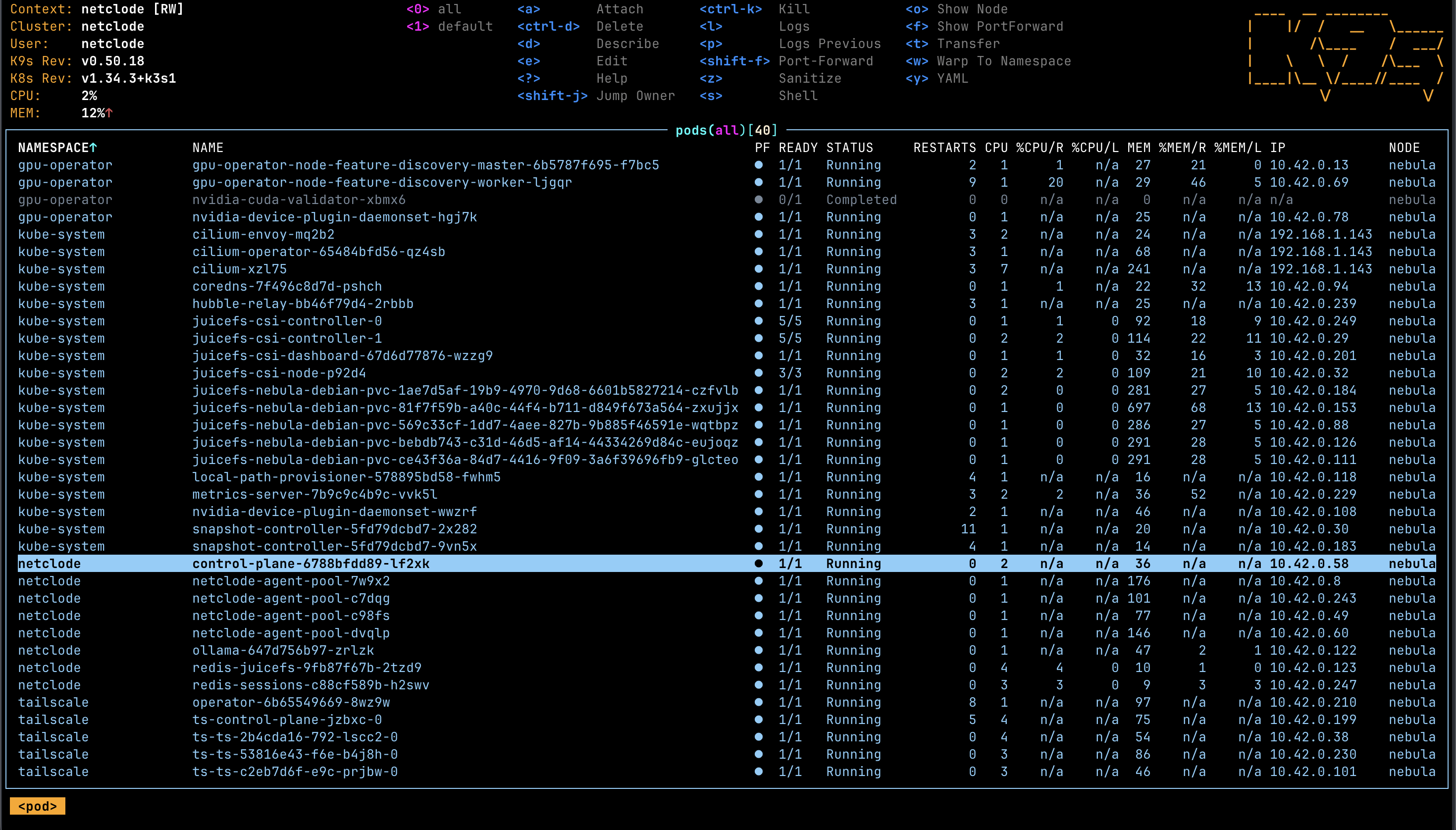 k9s showing Netclode pods running in Kubernetes